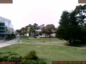 View of a campus quad